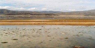 Evaluación de la gestión socio-ambiental del sector minero en Bolivia