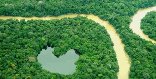 Minería, ambiente y territorios indígenas en Amazonia de Colombia