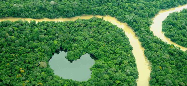 Minería, ambiente y territorios indígenas en Amazonia de Colombia