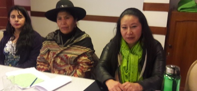 Extractivismos, desarrollo, mujeres: Bolivia